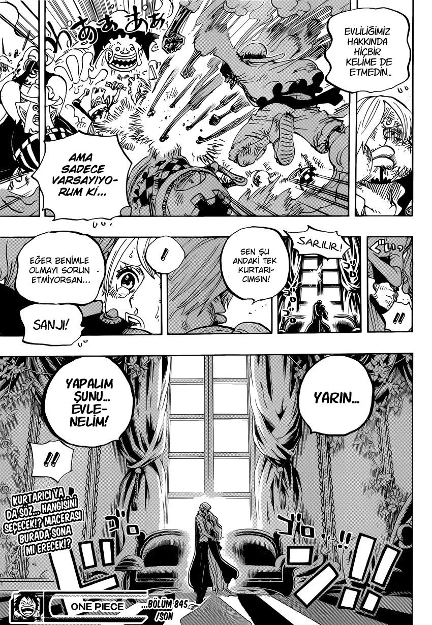 One Piece - Bölüm 845 - Sayfa 16