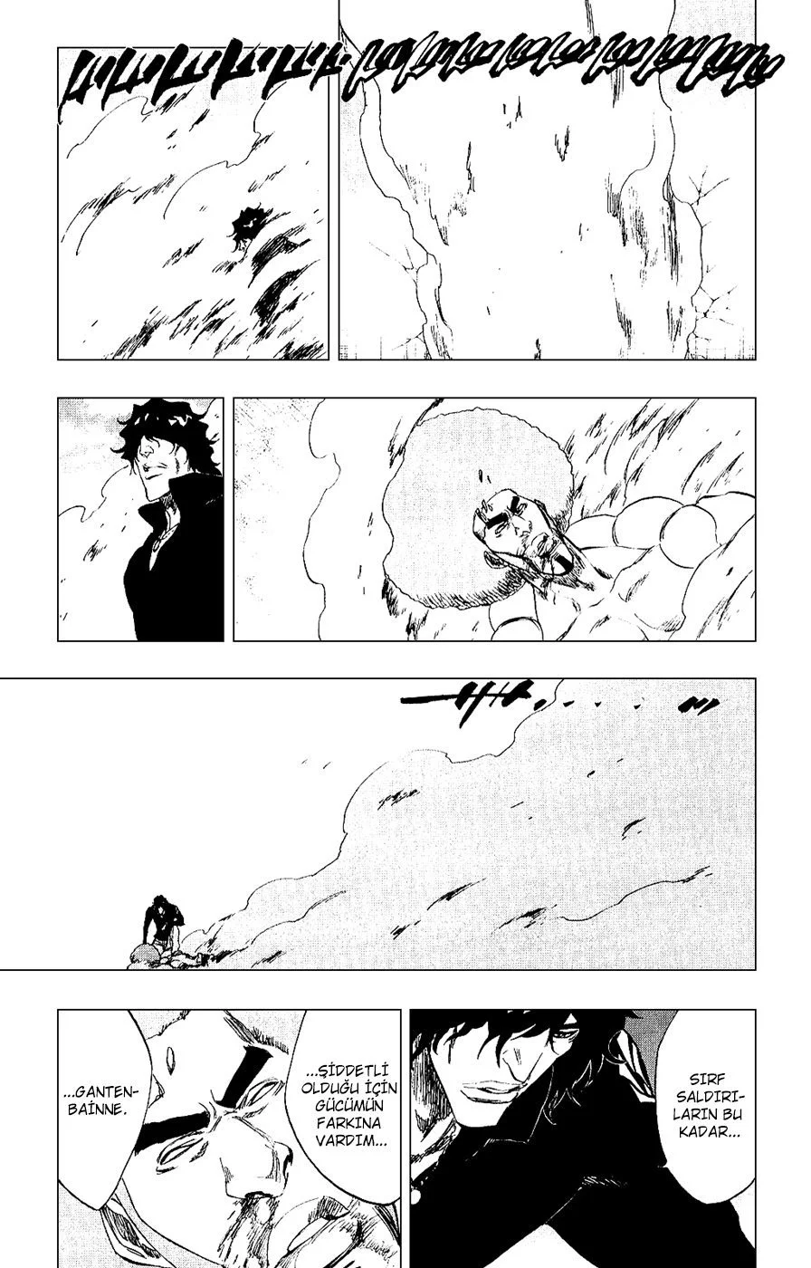 Bleach - Bölüm 261 - Sayfa 13