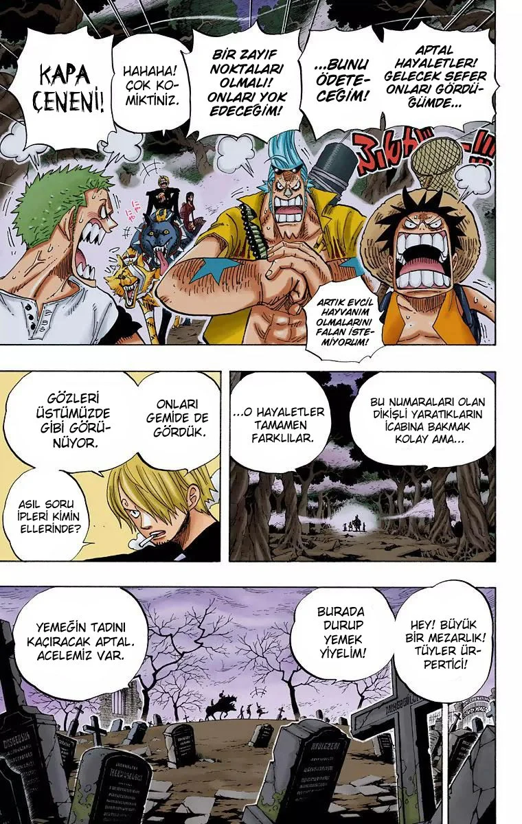 One Piece - Bölüm 448 - Sayfa 11