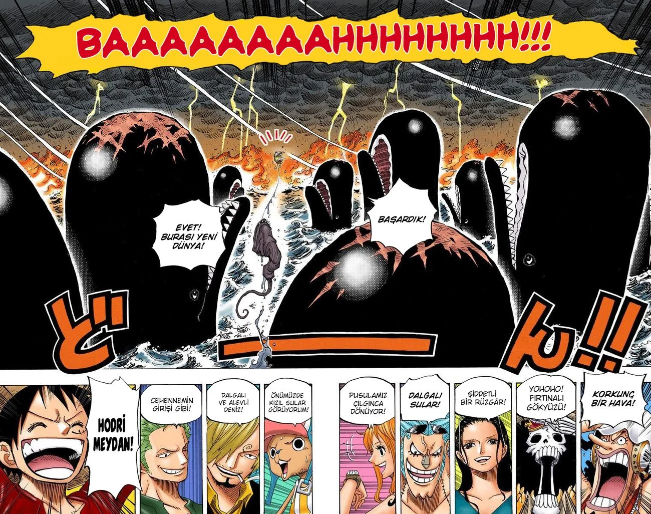 One Piece - Bölüm 654 - Sayfa 17