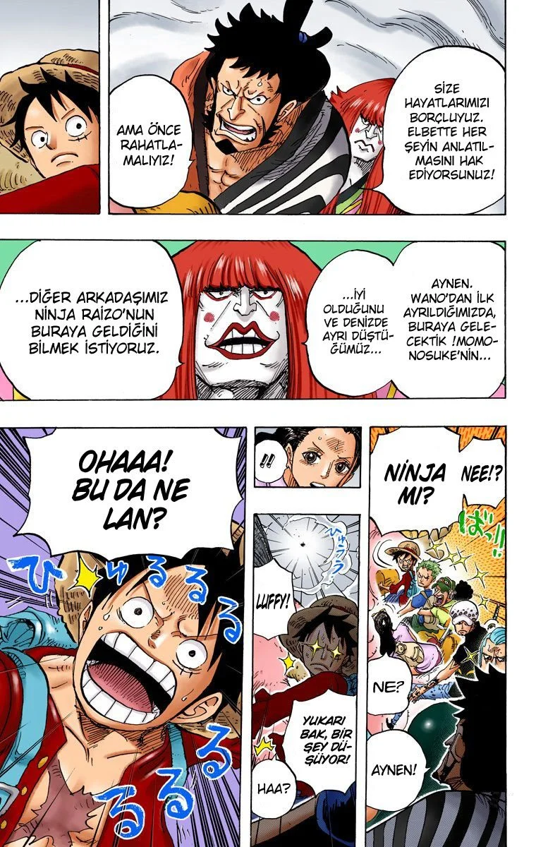 One Piece - Bölüm 803 - Sayfa 13