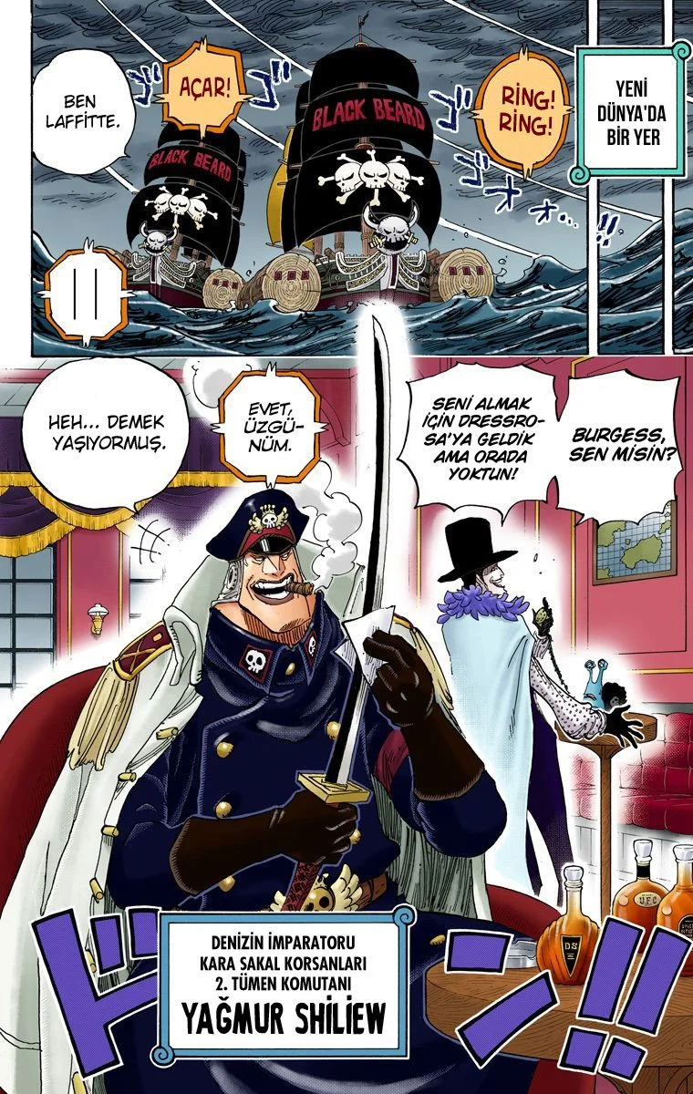 One Piece - Bölüm 803 - Sayfa 8