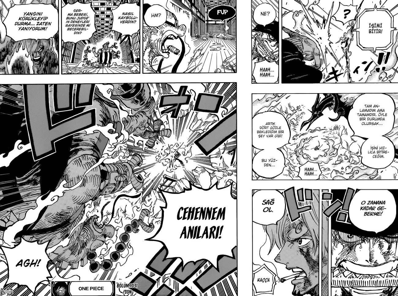 One Piece - Bölüm 1031 - Sayfa 16