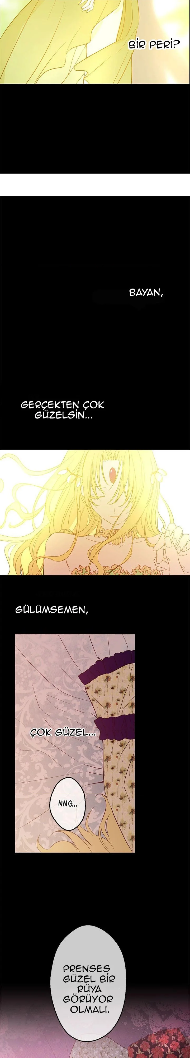 Who Made Me a Princess - Bölüm 16 - Sayfa 6