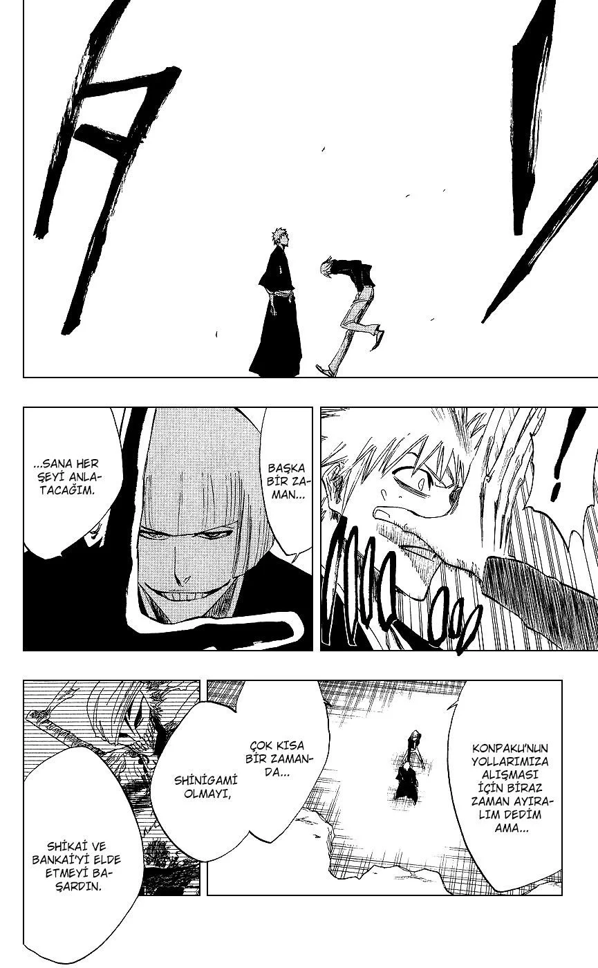 Bleach - Bölüm 217 - Sayfa 13