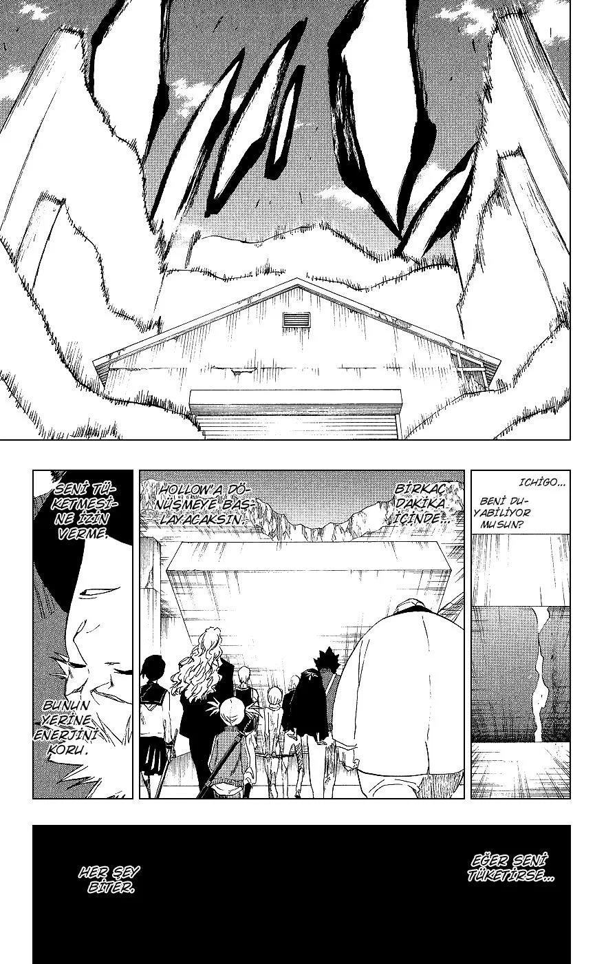 Bleach - Bölüm 217 - Sayfa 16