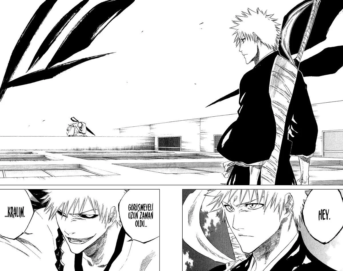 Bleach - Bölüm 217 - Sayfa 17