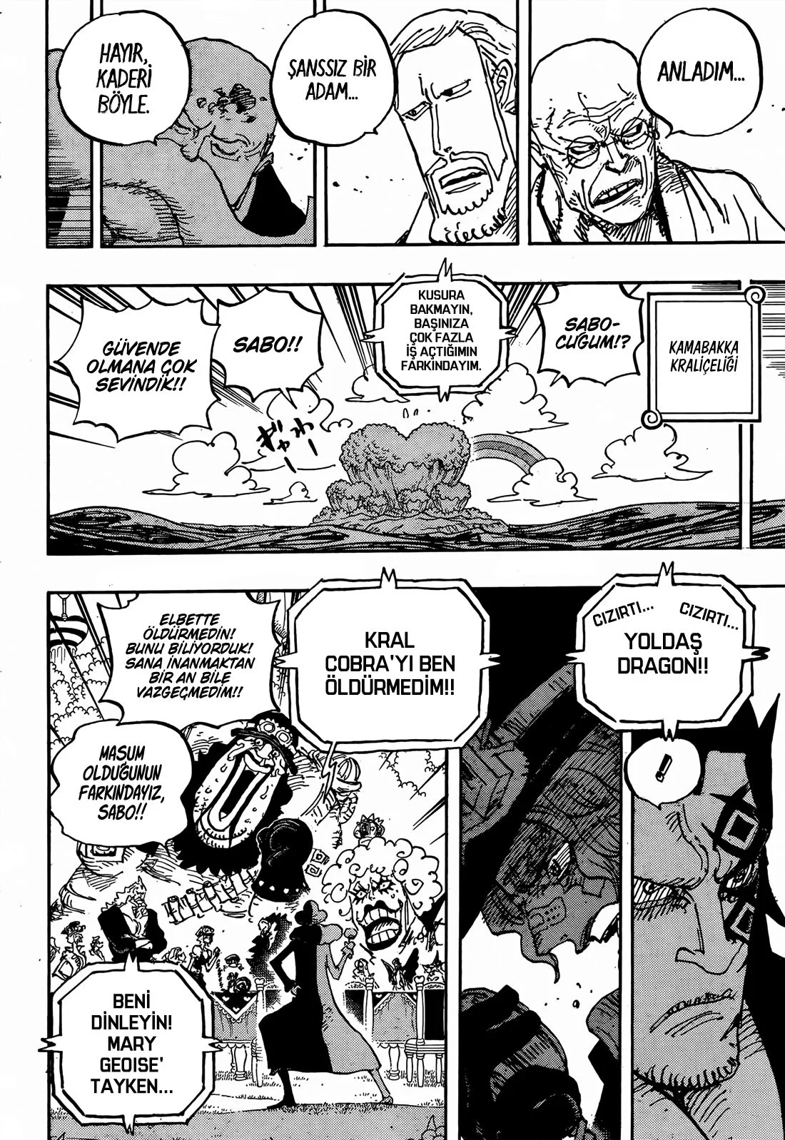 One Piece - Bölüm 1060 - Sayfa 11