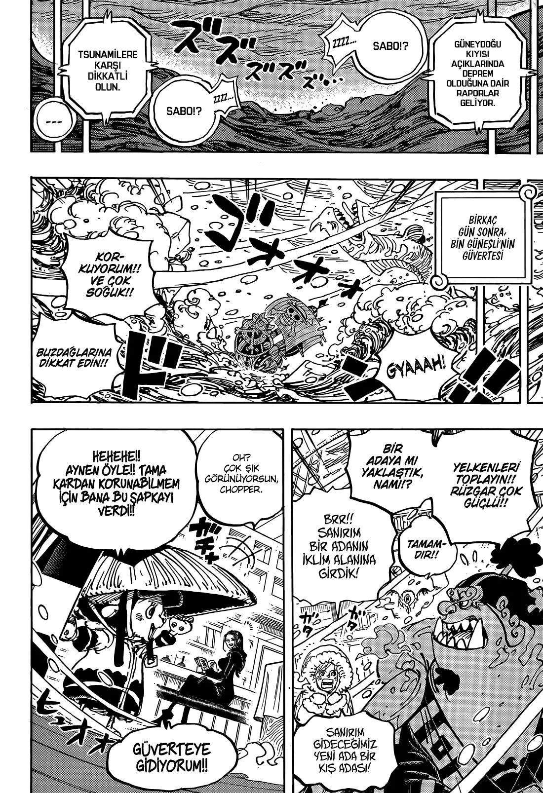 One Piece - Bölüm 1060 - Sayfa 14