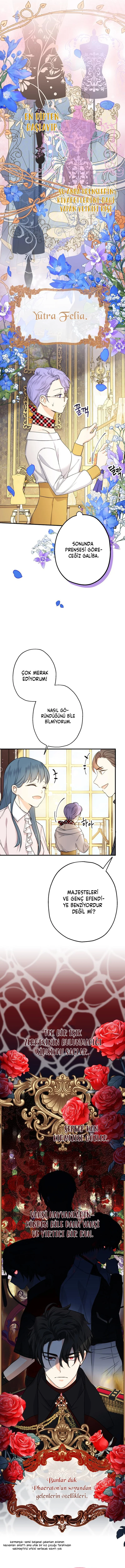 Lord Baby Runs a Romance Fantasy With Cash - Bölüm 10 - Sayfa 13