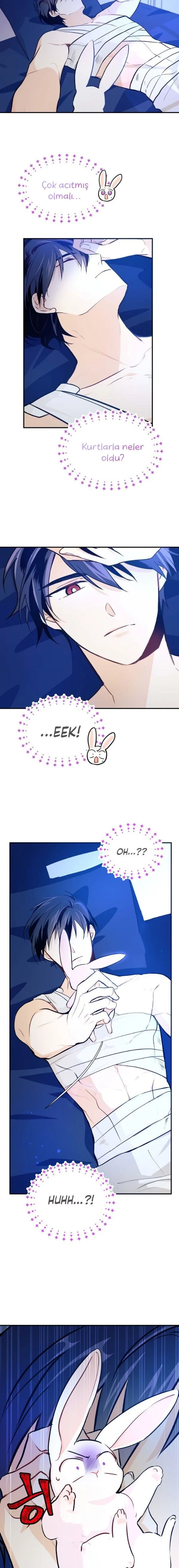 The Symbiotic Relationship Between the Rabbit and the Black Panther - Bölüm 4 - Sayfa 11