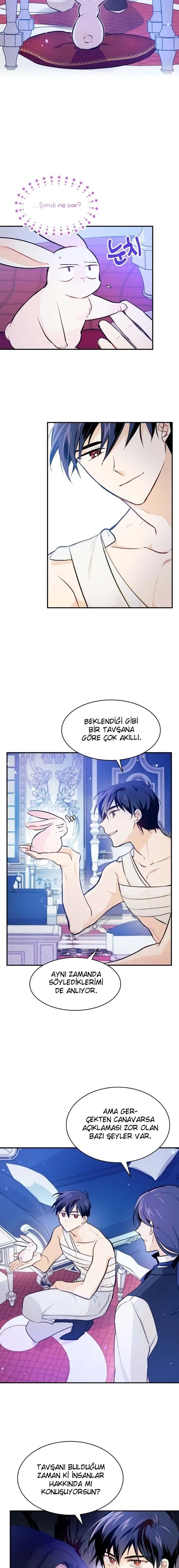 The Symbiotic Relationship Between the Rabbit and the Black Panther - Bölüm 4 - Sayfa 8