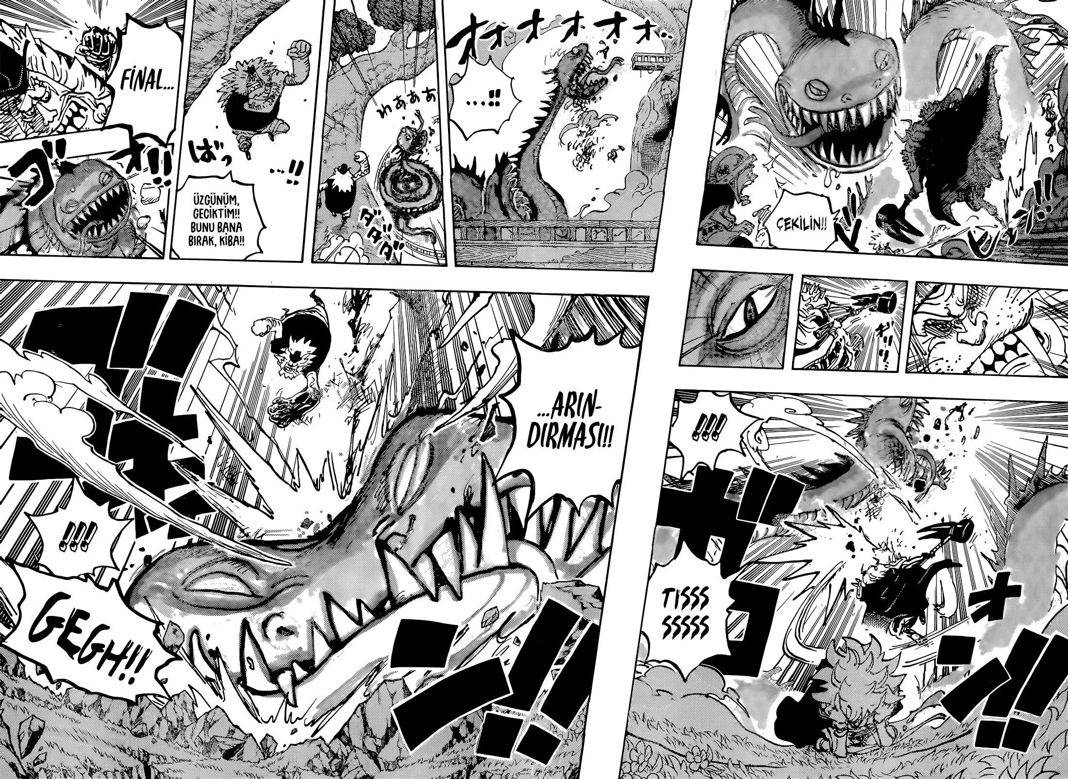 One Piece - Bölüm 1142 - Sayfa 5