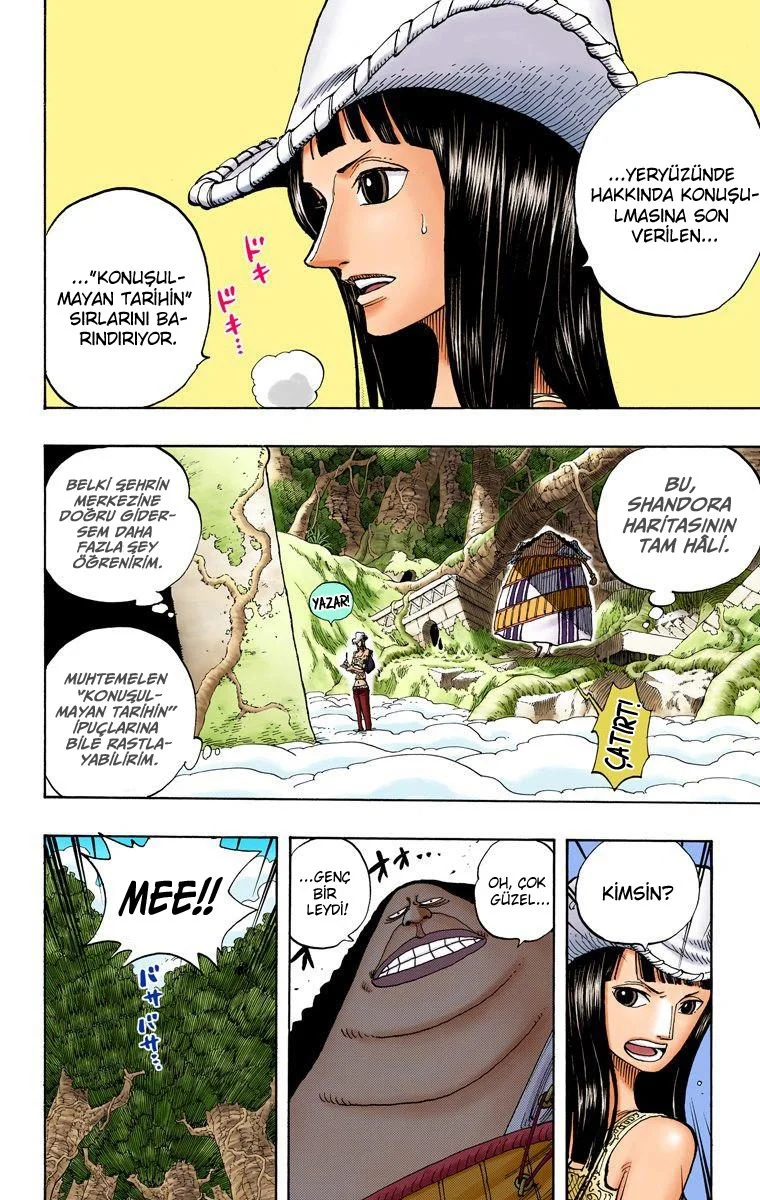 One Piece - Bölüm 261 - Sayfa 14