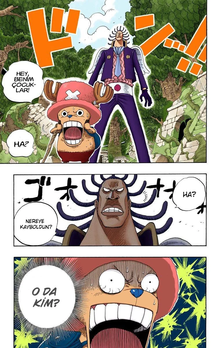 One Piece - Bölüm 261 - Sayfa 19