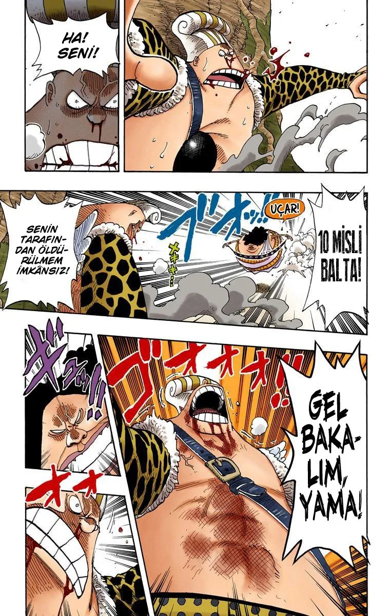 One Piece - Bölüm 261 - Sayfa 9