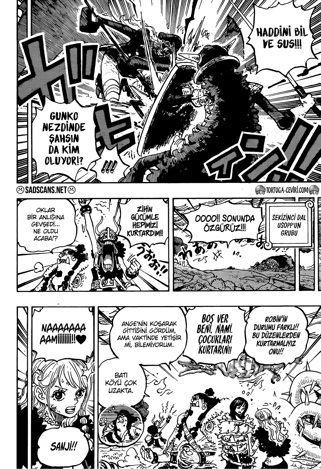 One Piece - Bölüm 1173 - Sayfa 10