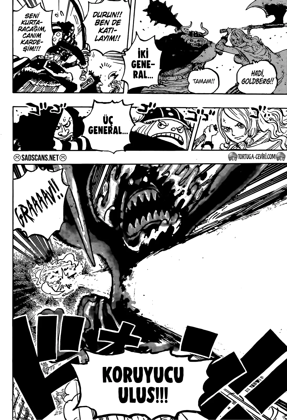One Piece - Bölüm 1173 - Sayfa 14