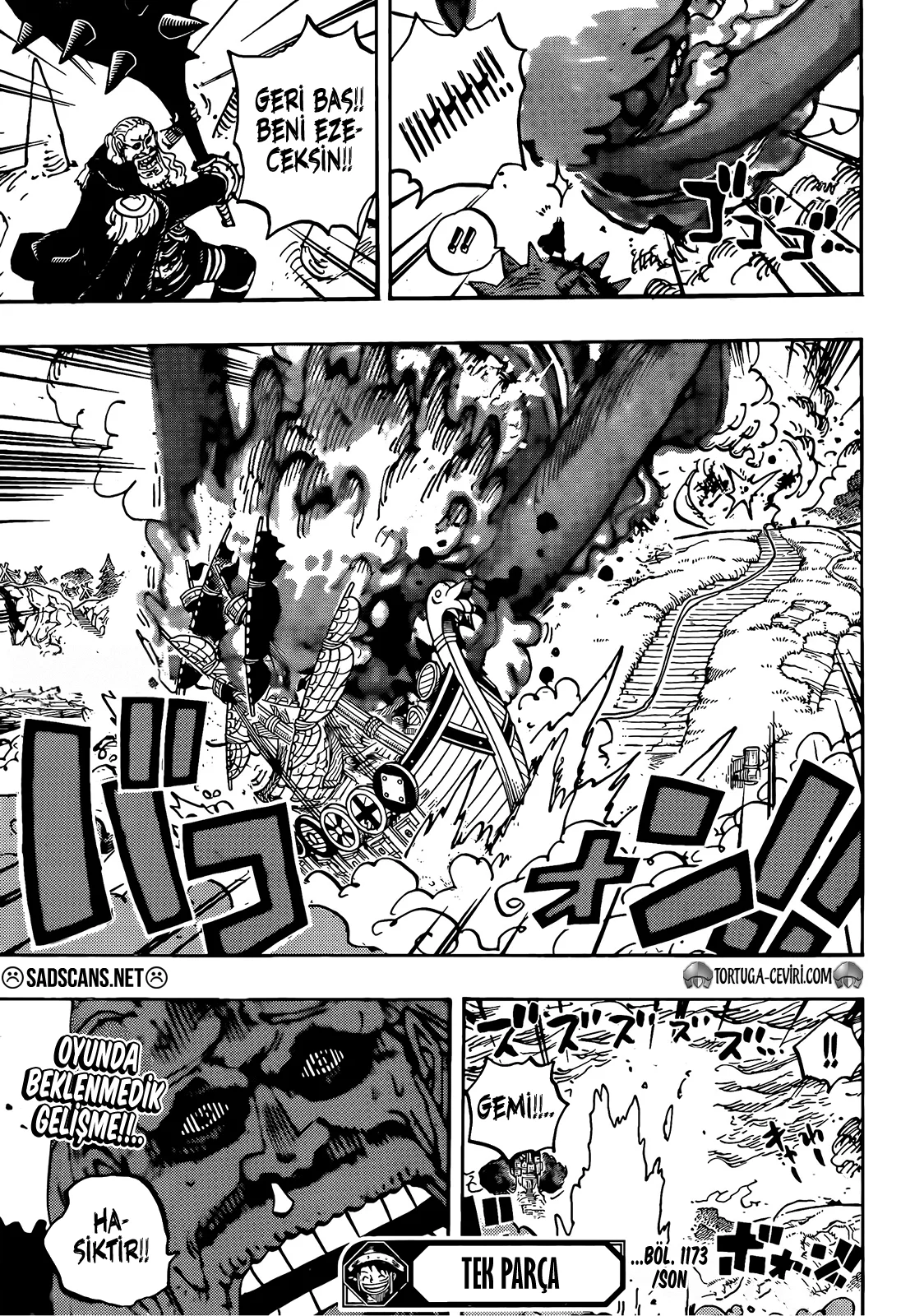 One Piece - Bölüm 1173 - Sayfa 15