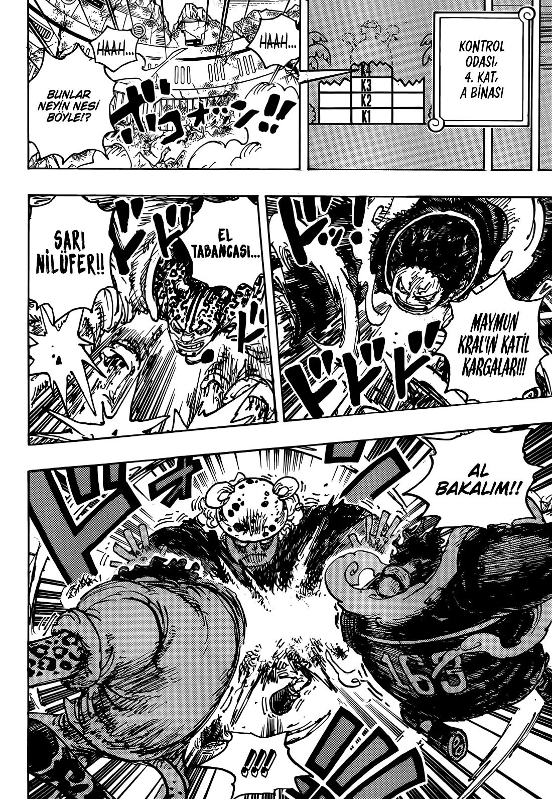 One Piece - Bölüm 1077 - Sayfa 4