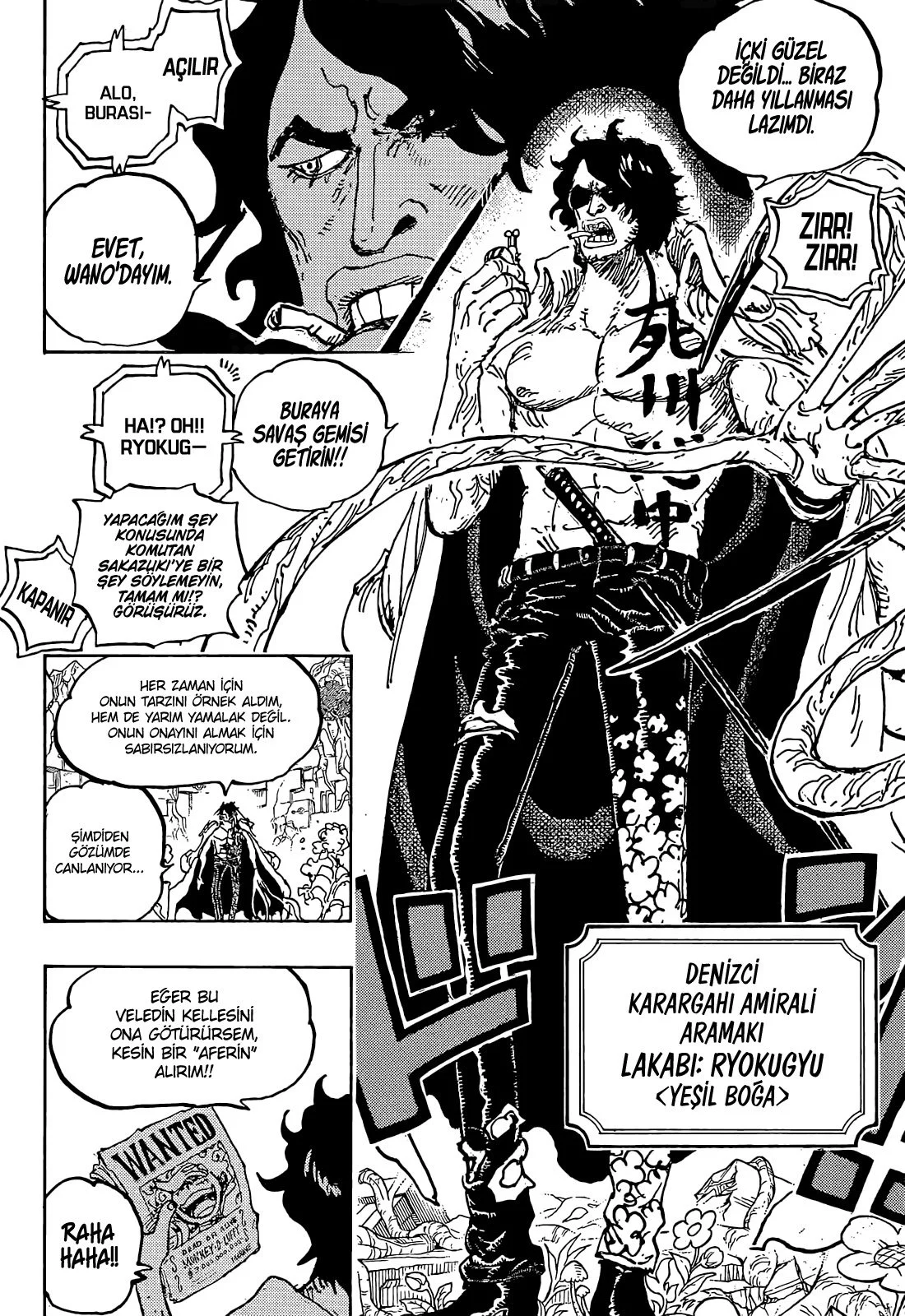 One Piece - Bölüm 1053 - Sayfa 11
