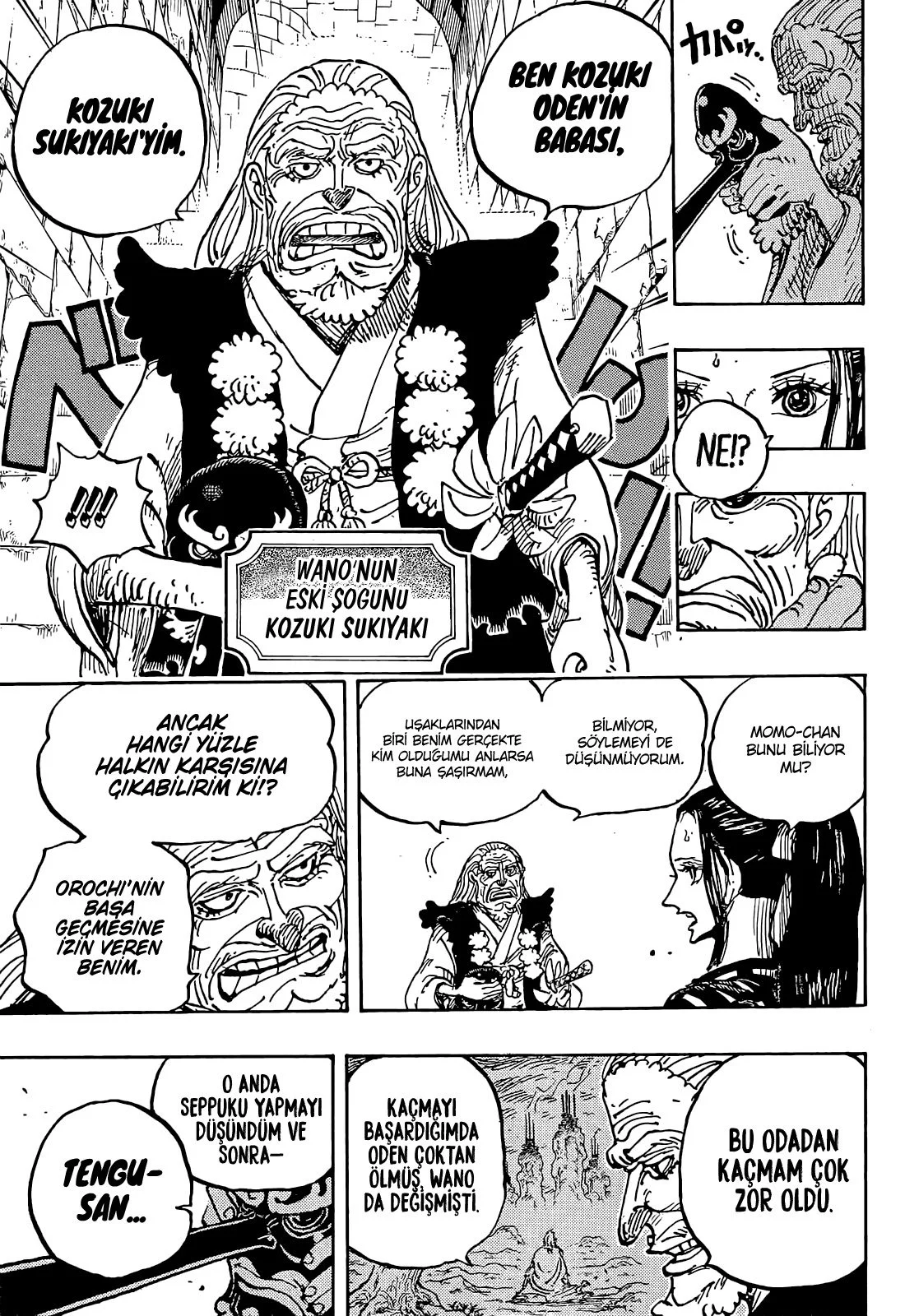 One Piece - Bölüm 1053 - Sayfa 8