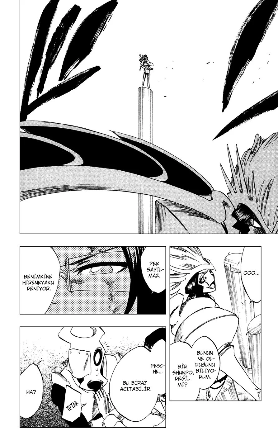 Bleach - Bölüm 257 - Sayfa 10