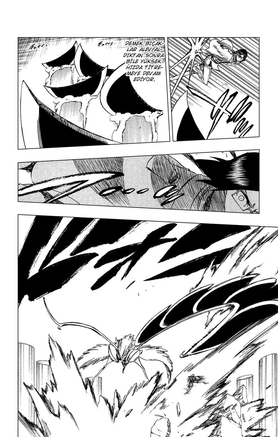 Bleach - Bölüm 257 - Sayfa 14