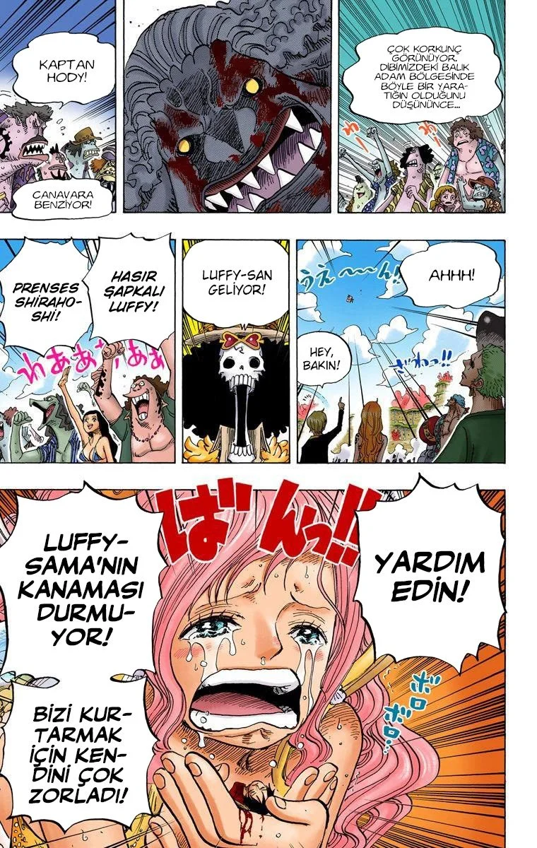 One Piece - Bölüm 648 - Sayfa 12
