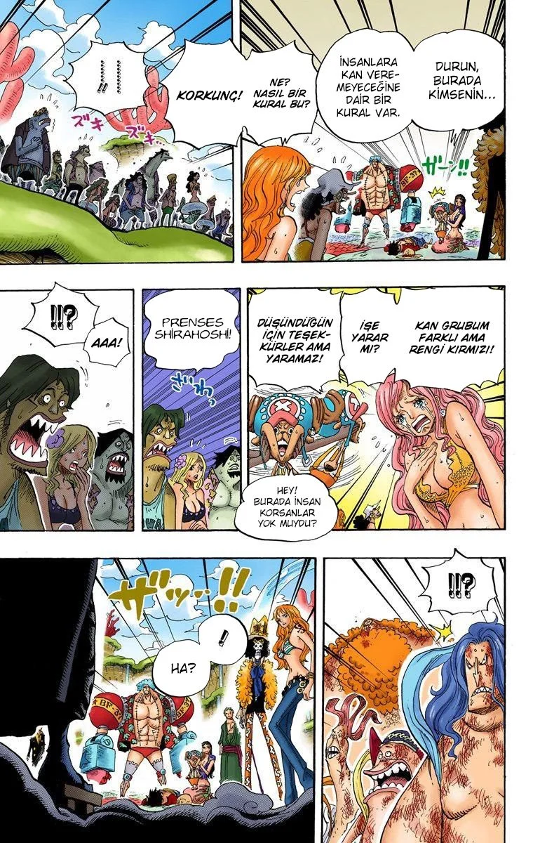 One Piece - Bölüm 648 - Sayfa 14