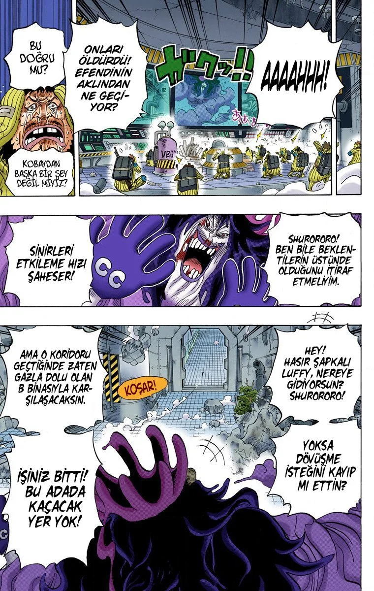One Piece - Bölüm 691 - Sayfa 13