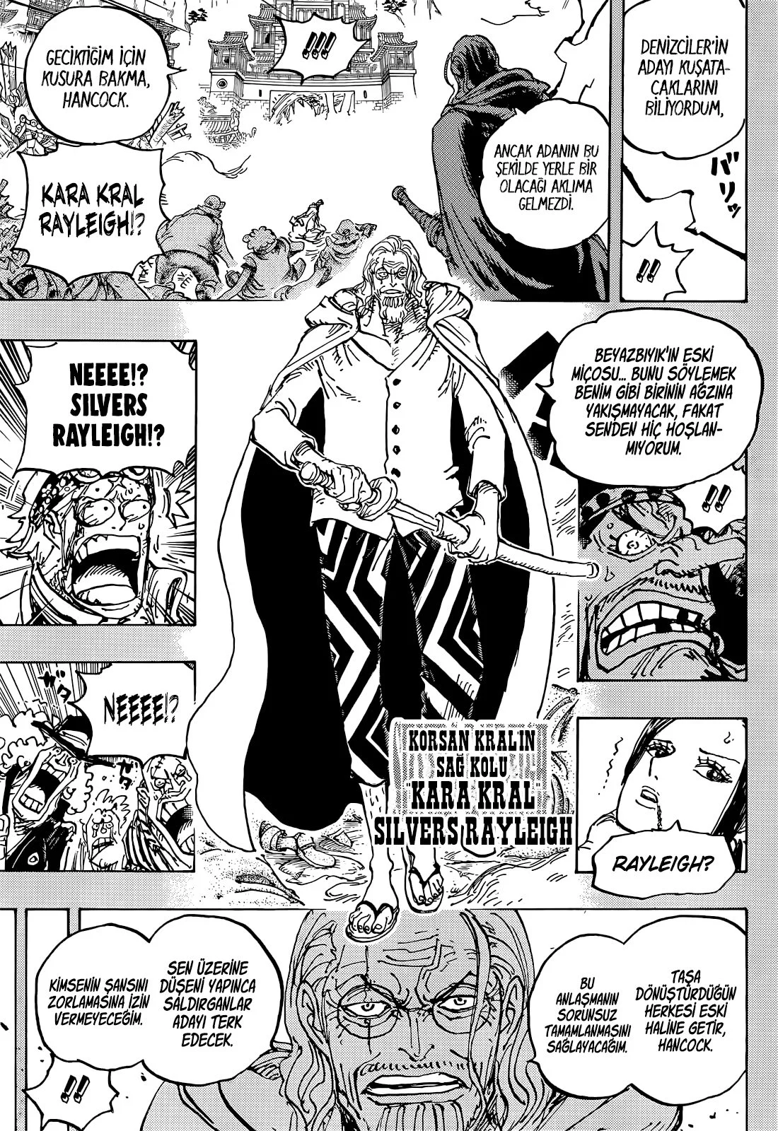 One Piece - Bölüm 1059 - Sayfa 13