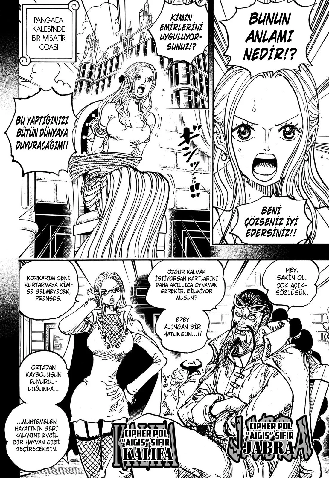 One Piece - Bölüm 1085 - Sayfa 12