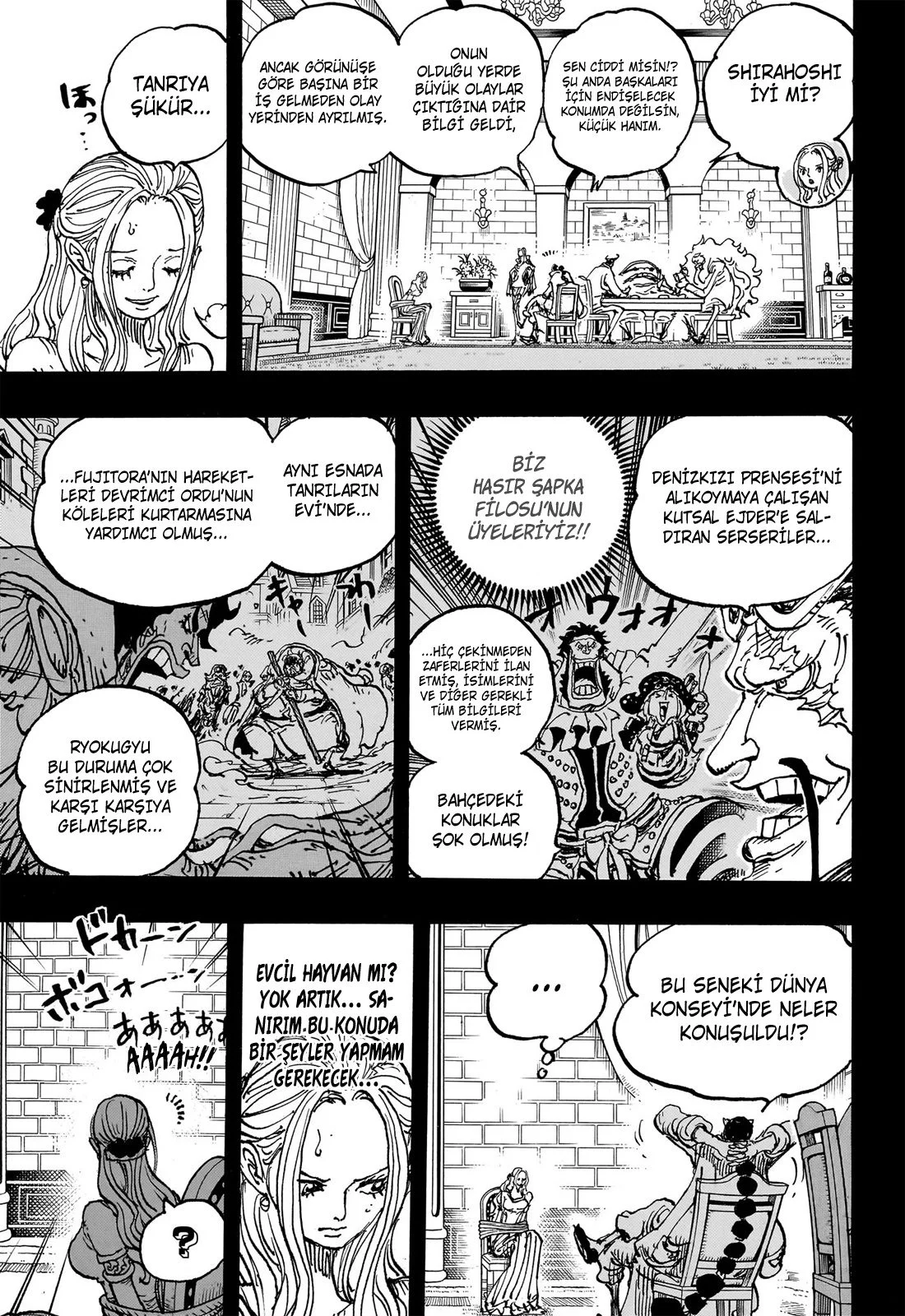 One Piece - Bölüm 1085 - Sayfa 13