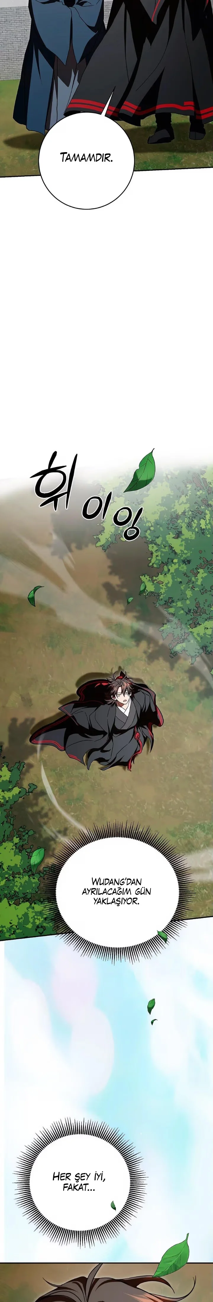 Wandering Warrior of Wudang - Bölüm 157 - Sayfa 24