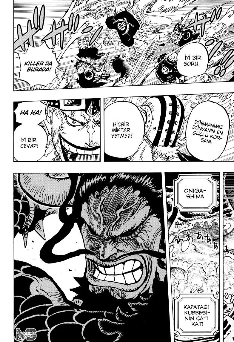One Piece - Bölüm 996 - Sayfa 14
