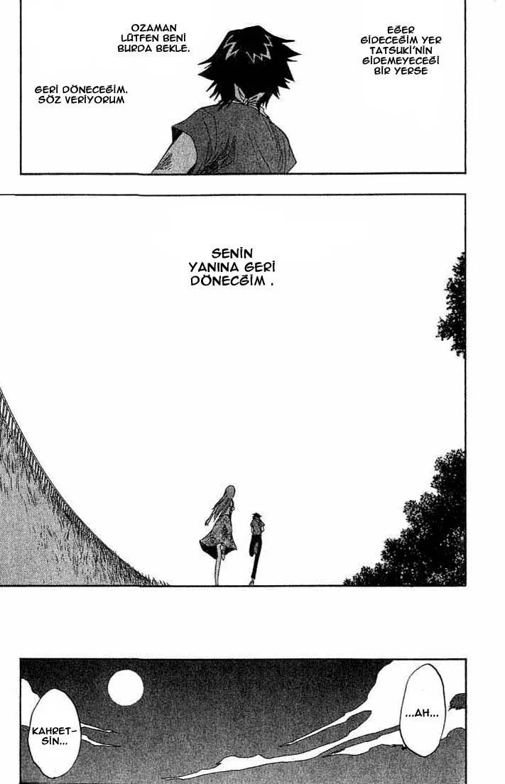 Bleach - Bölüm 68 - Sayfa 17