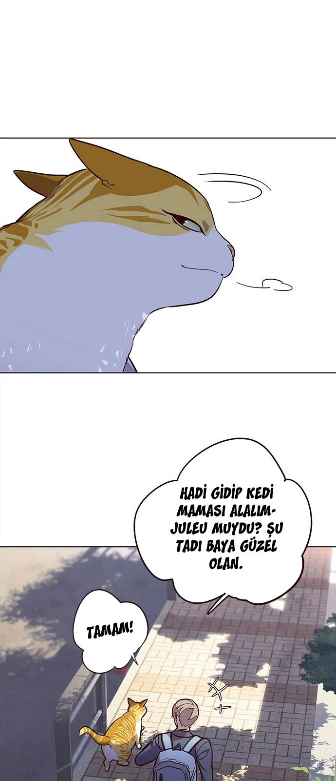 Eleceed - Bölüm 18 - Sayfa 51