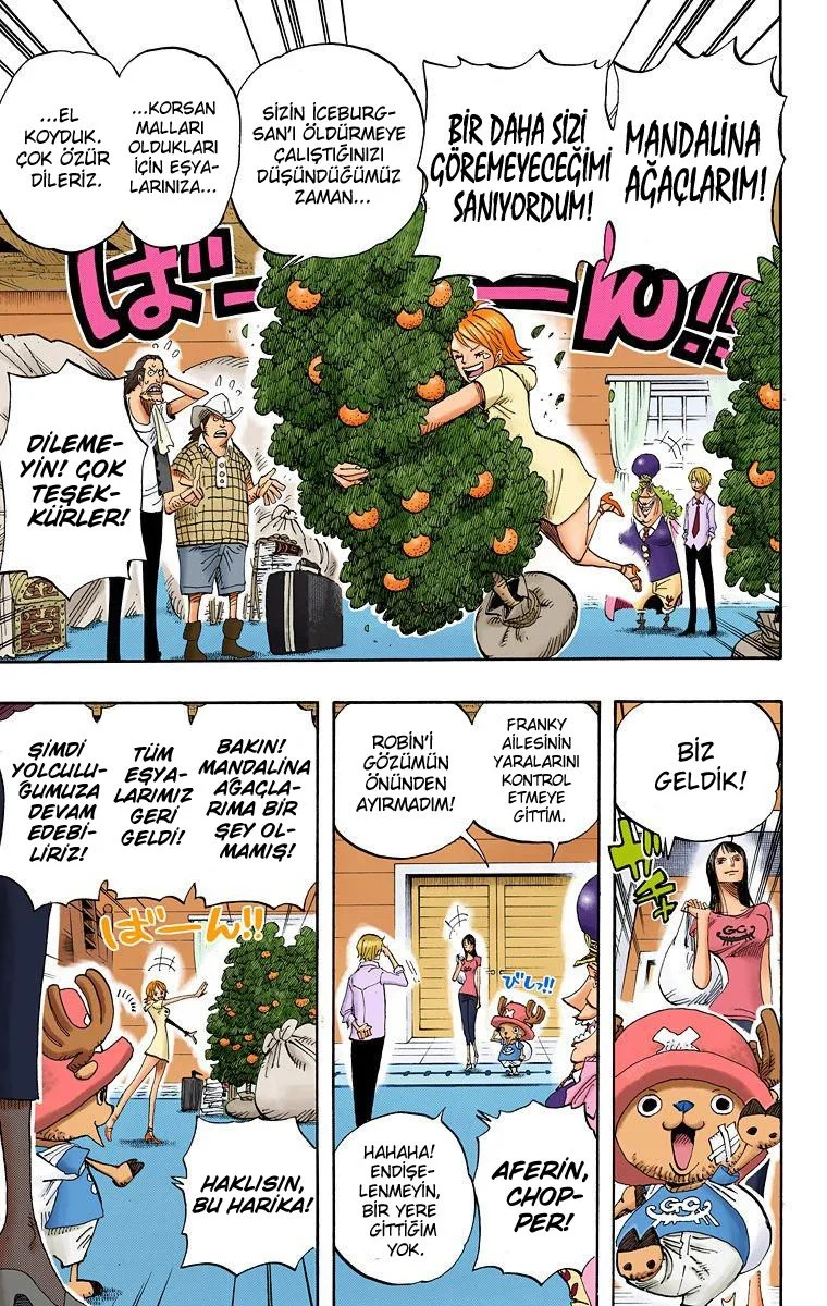 One Piece - Bölüm 431 - Sayfa 10
