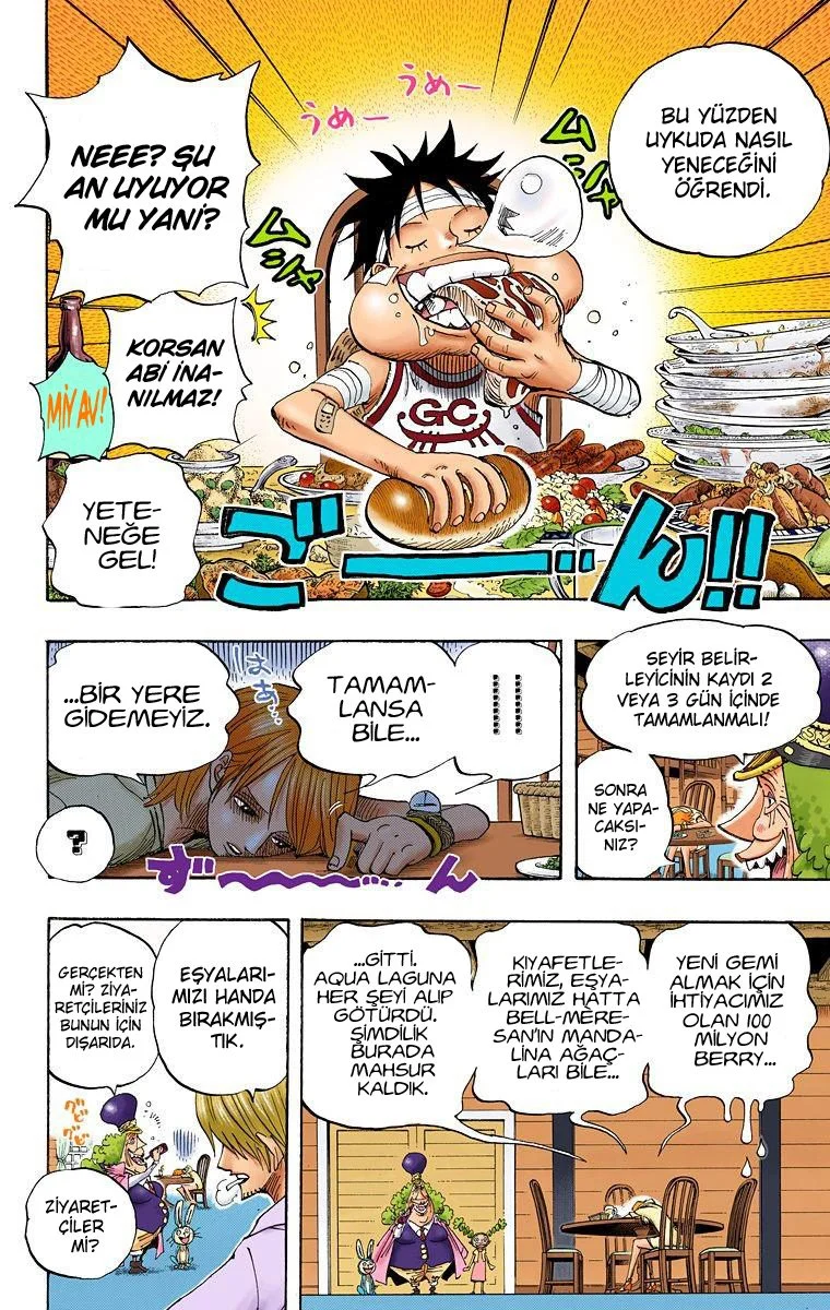 One Piece - Bölüm 431 - Sayfa 9
