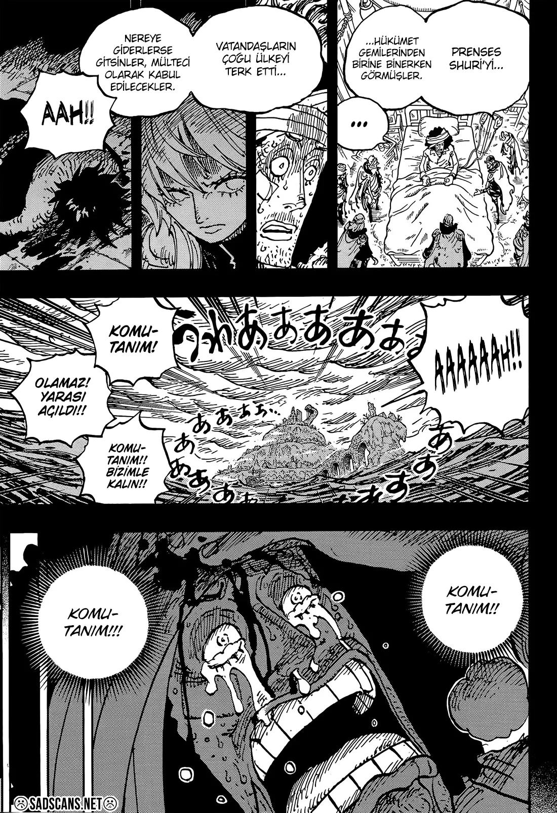 One Piece - Bölüm 1186 - Sayfa 12