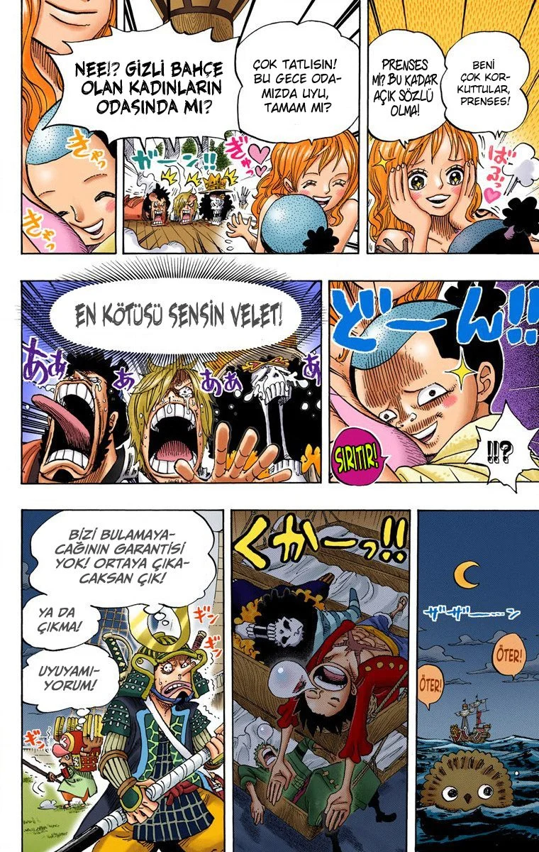 One Piece - Bölüm 699 - Sayfa 13