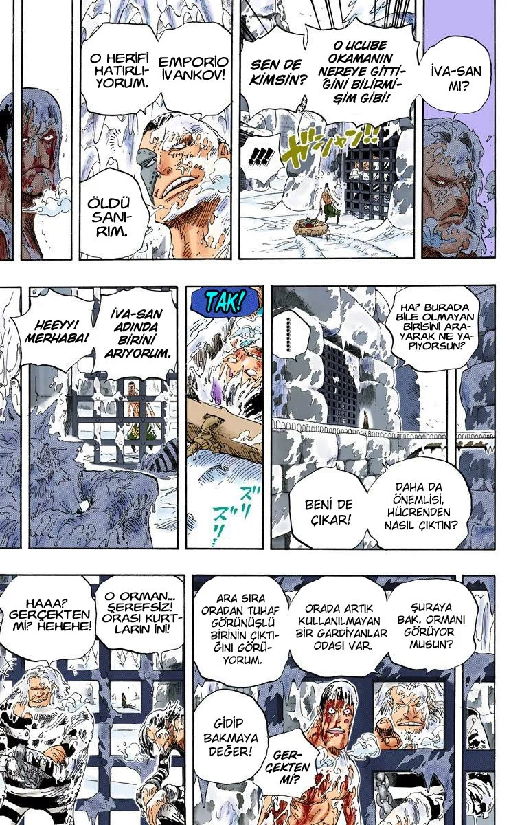 One Piece - Bölüm 536.5 - Sayfa 13