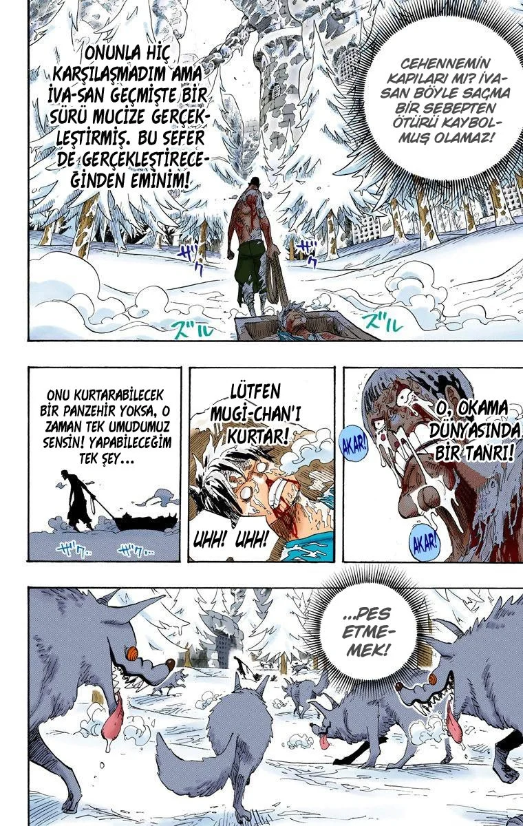 One Piece - Bölüm 536.5 - Sayfa 14