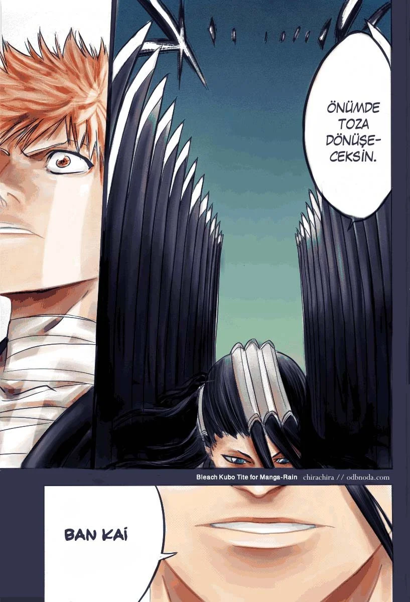 Bleach - Bölüm 161 - Sayfa 11