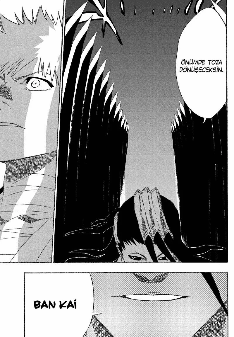 Bleach - Bölüm 161 - Sayfa 12
