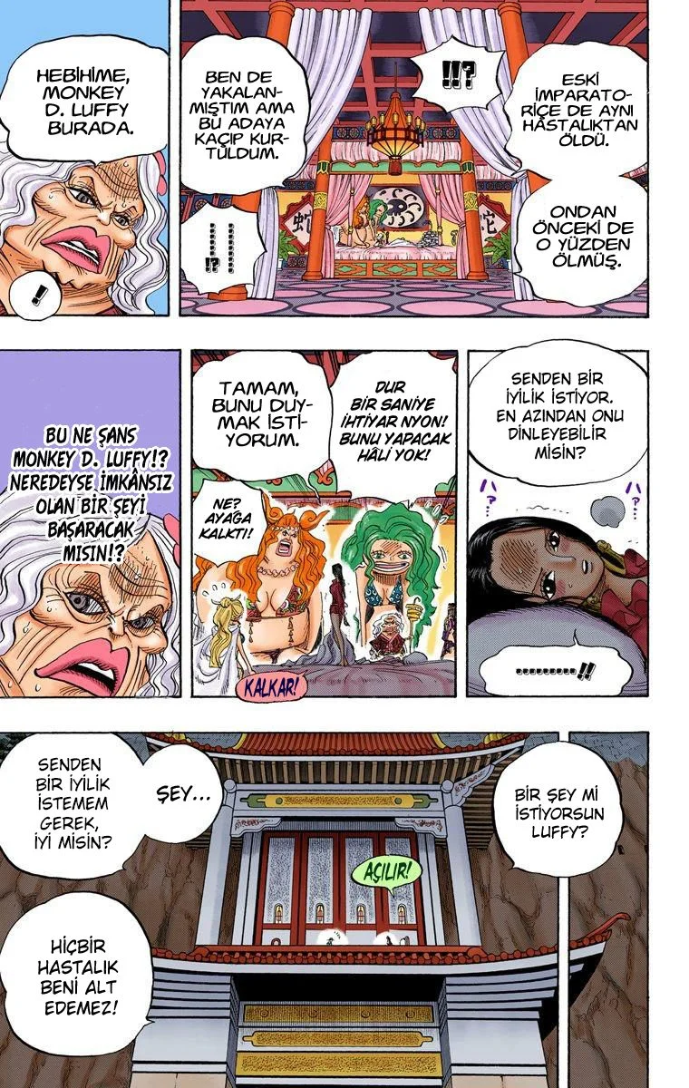 One Piece - Bölüm 522 - Sayfa 17