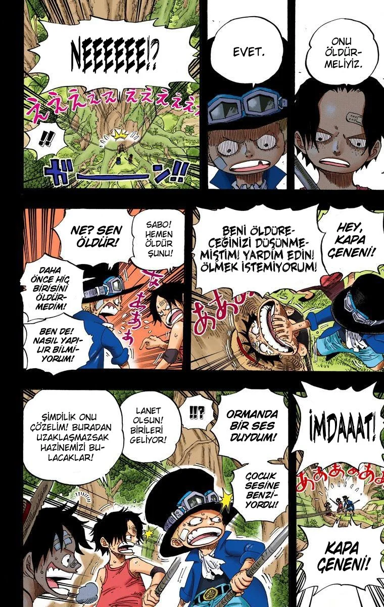 One Piece - Bölüm 583 - Sayfa 13