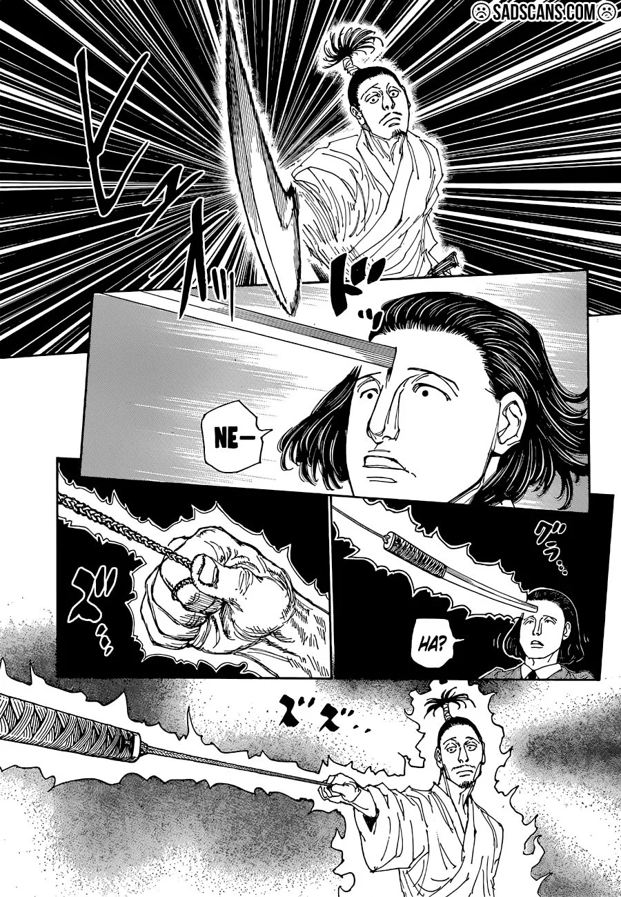 Hunter x Hunter - Bölüm 399 - Sayfa 12