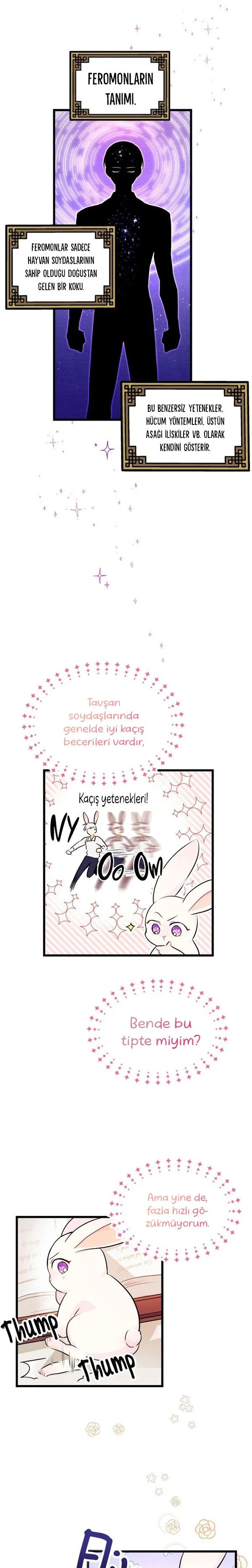 The Symbiotic Relationship Between the Rabbit and the Black Panther - Bölüm 8 - Sayfa 9